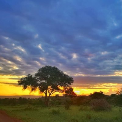 big_chief_crow's profile picture. 🇿🇦 Gauteng