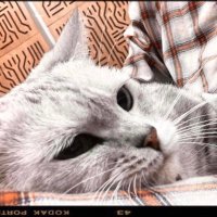 Tomi (@tomi_mtp) 's Twitter Profile