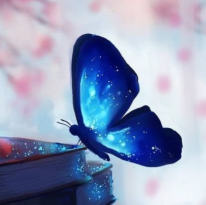 Butterfly Angel888 Profile