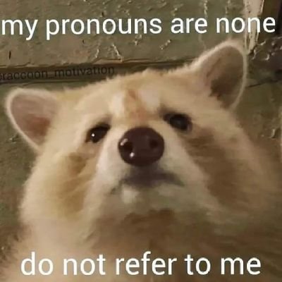 BonnieEskridge's profile picture. LDS, homeschooling homesteader trying to flee Babylon.  
#PatHead