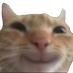 CatSmileGaming (@CatSmileGaming) Twitter profile photo