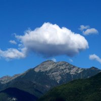 Blue cloud around the mountain ☁️ (@cloudnmountain1) 's Twitter Profile Photo