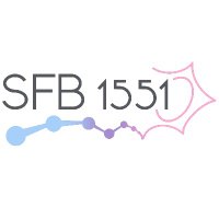 SFB 1551 - Sonderforschungsbereich 1551 (@sfb1551) 's Twitter Profile