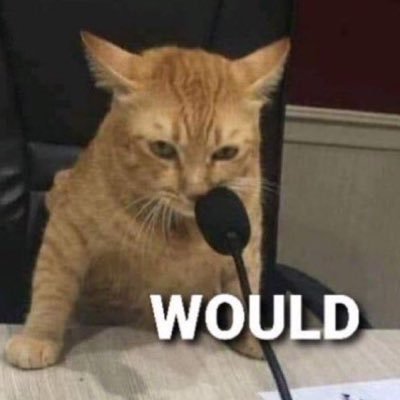emomeowscles's profile picture. 🐱 21 they/them lesbian 🐱