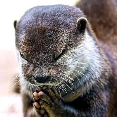 Aboubac72514064's profile picture. 