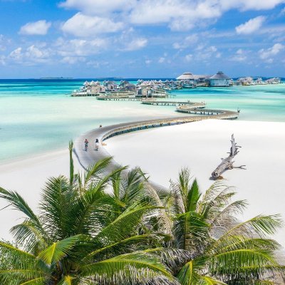 Ynotradar's profile picture. 