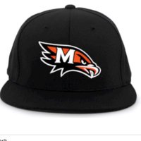 Madelia Blackhawk Baseball (@madeliabhball) 's Twitter Profile