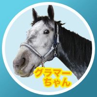 牧場ウマウマ アイヴィベル | LAKE VILLA FARM