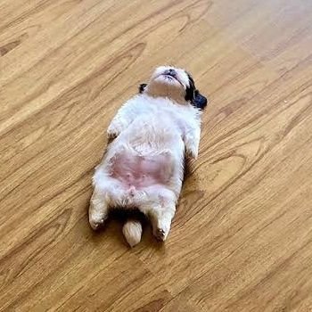 cjames_ct's profile picture. degradable bio