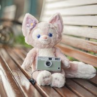 totoro (@totorohanseichu) 's Twitter Profile Photo