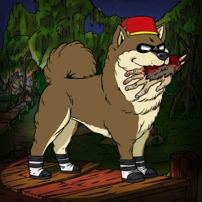 nonaggression_2's profile picture. Data scientist now in Naperville #nftcommunity #medicaid #nft