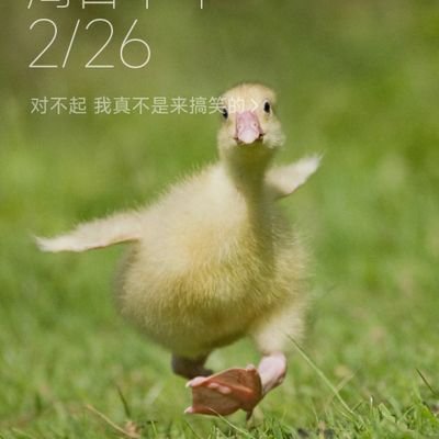 zhikanbuwan's profile picture. 0898