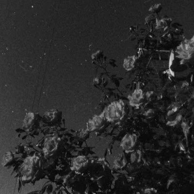 deznutsdontplay's profile picture. 