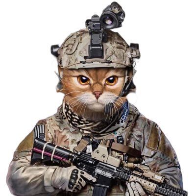 WarCat001 Profile Picture