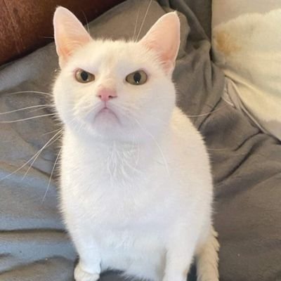 tvkxdxng's profile picture. Light side acc. DM to nego
