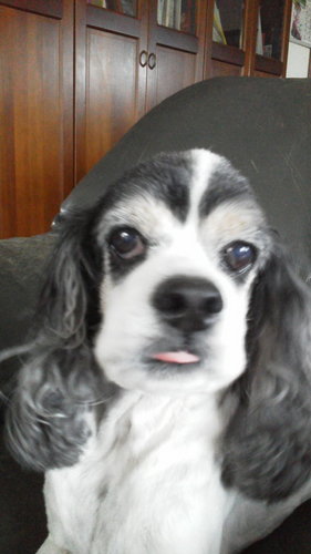 GACHACONN's profile picture. 山口県美髪クリニック宇部店(ＡＬＵＲＥ)美容室に在中