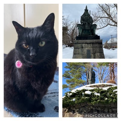 宜しくどうぞ！生まれ故郷の新潟県🍚🌾☃️❄️十日町市と歴史、猫好きです。好きな武将🐎上杉謙信・石田三成 尊敬🌸 お釈迦様・日蓮聖人 等々。日々の日課は瞑想と法華経の勉強。南無妙法蓮華経🙏🏼✨️