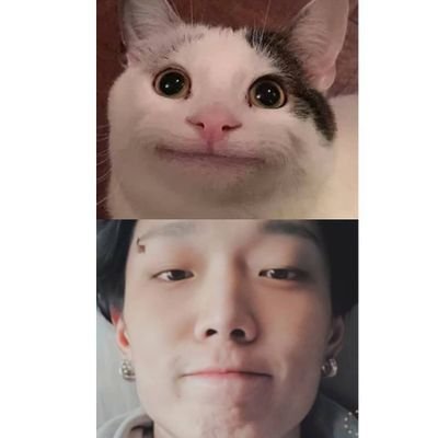 sigemezh's profile picture. kita