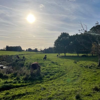 ClarionCorvus's profile picture. A Multi Academy Trust in East Anglia, serving our community.