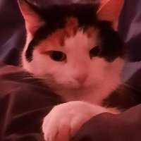 HuMan bEing (@human_being132) 's Twitter Profile Photo HuMan bEing (@human_being132) 's Twitter Profile Photo