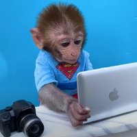 uri (@uri_monteiro) 's Twitter Profile