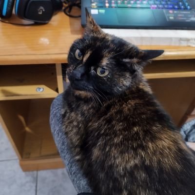 kratsus7's profile picture. Física UCM

Lanzarote/Madrid