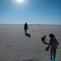 M Nurullah Katılmış (@mnktlms) 's Twitter Profile