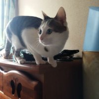 前田昭義 (@nozomi1970) Twitter profile photo