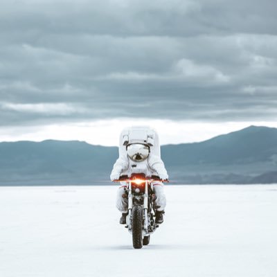 dnthnhv's profile picture. A human using machine learning to learn machine