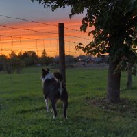 Chris Knows (@jcc44) 's Twitter Profile