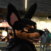 Archie(@archie_dobie) 's Twitter Profile Photo