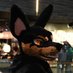 Archie (@archie_dobie) Twitter profile photo Archie (@archie_dobie) Twitter profile photo