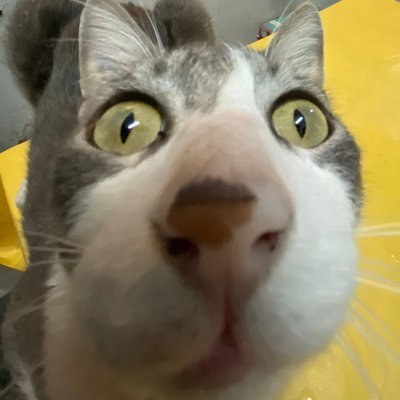 makunochifan's profile picture. try the best