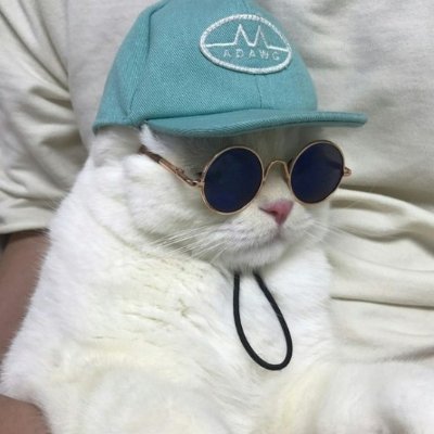 ziyedzip's profile picture. 