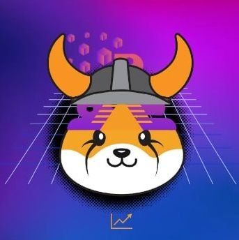 Ploki_official's profile picture. Floki on PooChain
https://t.co/r0xyLPNv2o