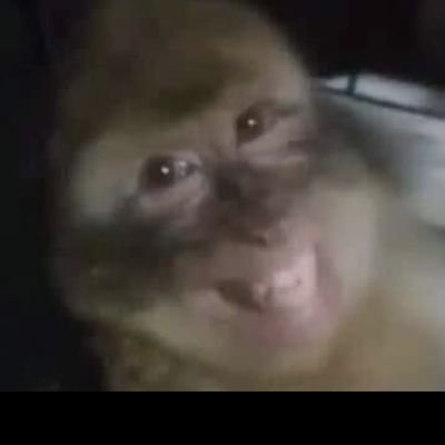 yonkanicedeo's profile picture. 