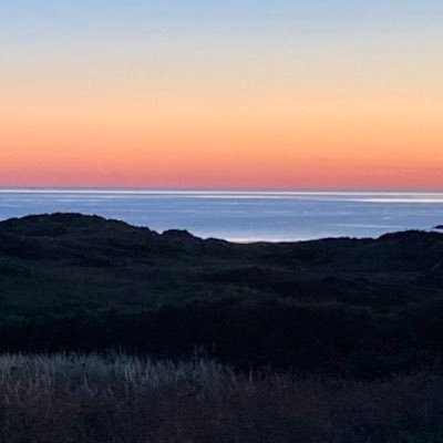 alphahopkins's profile picture. Former Director @dyodulwich