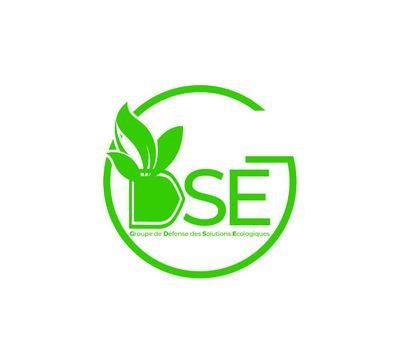 GDSE Profile