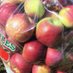 BigBagofApples (@bigbagofapples) Twitter profile photo BigBagofApples (@bigbagofapples) Twitter profile photo