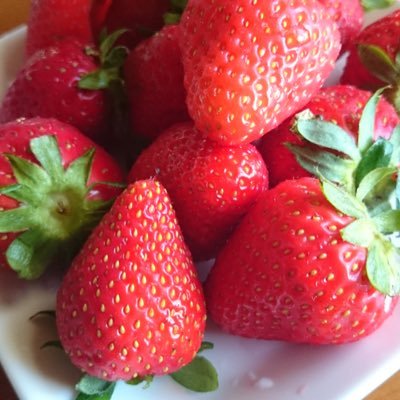 なんとなくの感覚とどちらもありの世界観の中でゆるっと生きている占い師。
ゆるっと生きていますが、お仕事はしっかりを心掛けておりまする。神様カードを読んだり、神様からのお言葉やご神気のお取次ぎもしています。