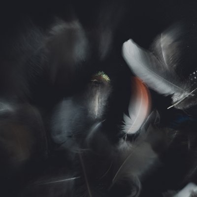 mujakicx's profile picture. 