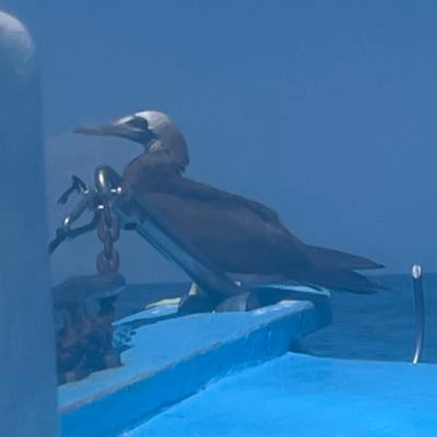 GmoneySkywalker's profile picture. 22 | Dumbass with access to the internet