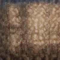 Brandy Perry (@brandyperr45341) 's Twitter Profile