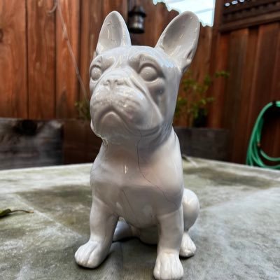 steffyo50's profile picture. ❤TKD 🥋, MMA & everything HK, Dubs, Raiders & A's