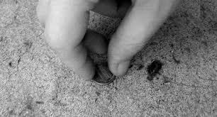 My mum taught me see a penny, pick it up, all day long you'll have good luck. Anything I find goes into the charity piggy.