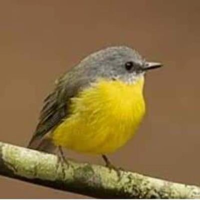 IBRAHIM80869232's profile picture. 