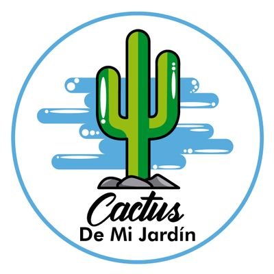 Instagram: Cactus_demijardin // está via será para seguir aprendiendo creciendo y cultivando 💚🇻🇪