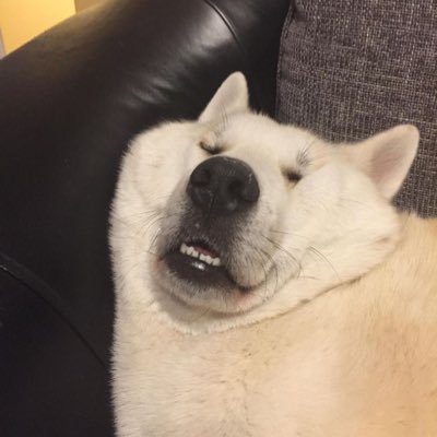 私が風呂に行くのではなく風呂がこっちに来い