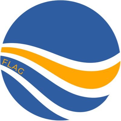 Flag Digital || Flag Blockchain, Flag Wallet (iOS and Android), Flagpole NFT, Flag News, SPIRE (coming soon)