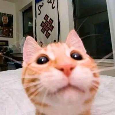ooooooooooooooooooooooooooooooooooooooooo ga t w addd
woue #humtwt